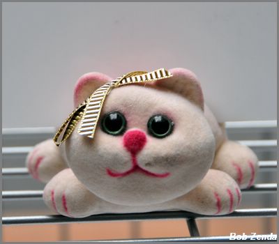 Original Cage Card Holder 2